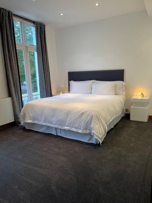 Designer 2 Bedroom Pimlico London Eksteriør billede